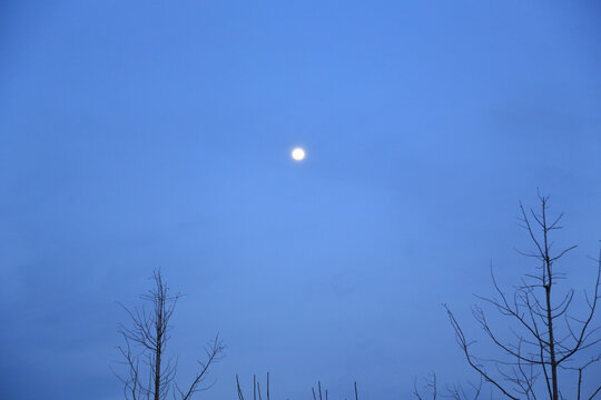 傍晚的月亮