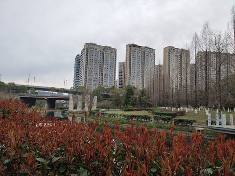 公园绿化与城市建筑