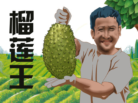 插画榴莲包装