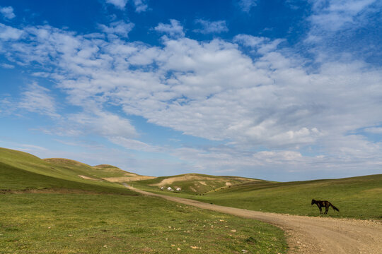 新疆塔城的山坡草原