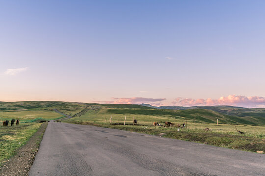 新疆夕阳下的草原道路