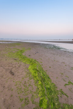 中国北戴河日出下的海滩