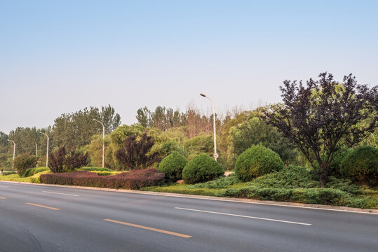 中国北戴河的城市道路绿化带