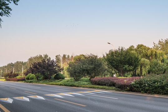 中国北戴河的城市道路绿化带