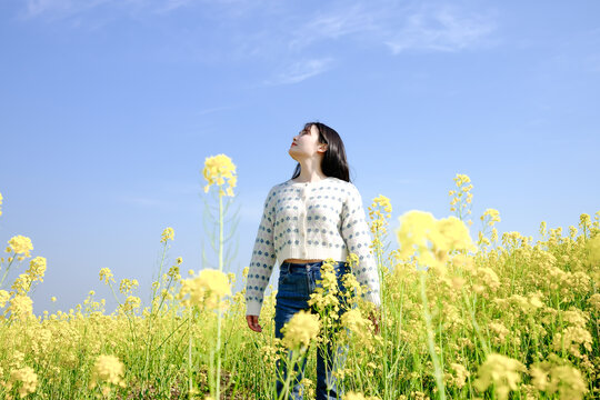 油菜花和女人