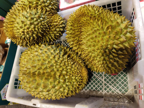 榴莲