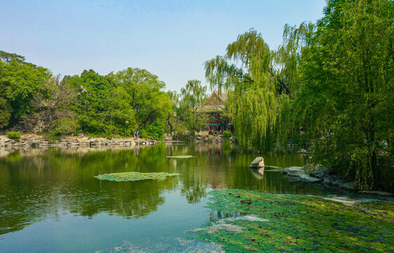 北京大学未名湖