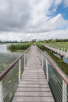 哈尔滨湖边建筑绿地栈桥