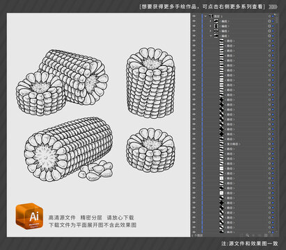 素描成熟的玉米