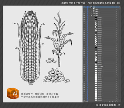 手绘植物插图元素