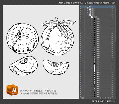 桃果手绘插图