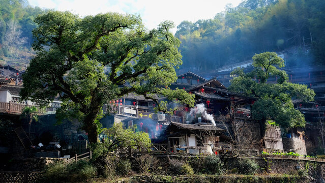 永嘉岭上人家