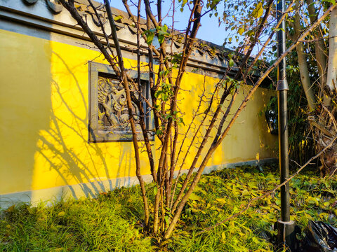 开州故城