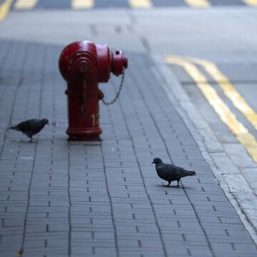 香港街道