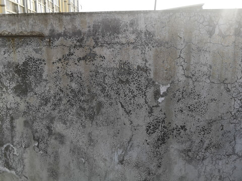 水泥墙