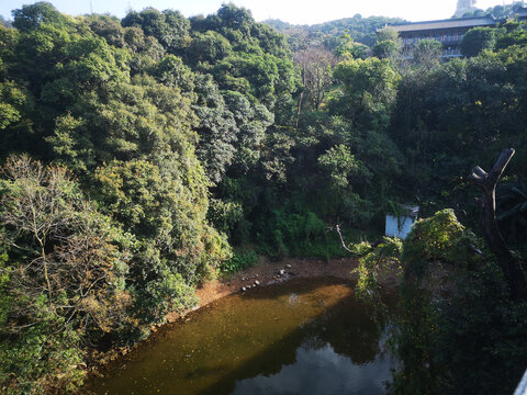 园林风景