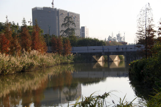 广州大观湿地公园