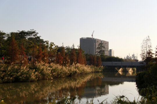 广州大观湿地公园