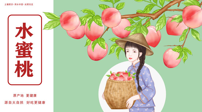 水蜜桃水果包装插画