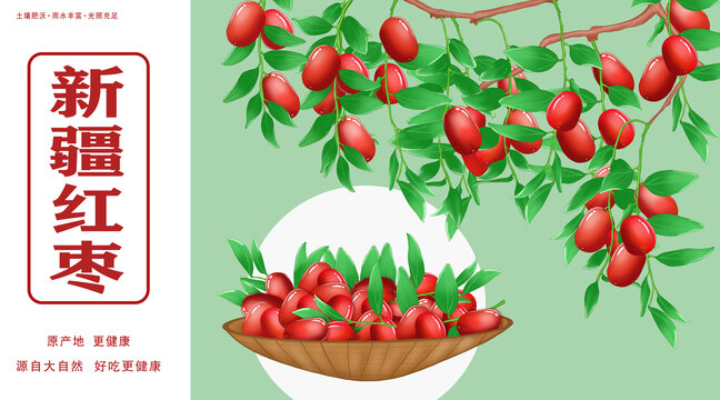 红枣水果包装插画