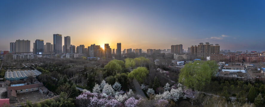 宽幅春天城市日落全景大图