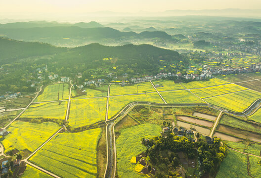 希望的田野