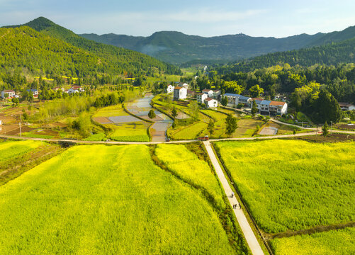 希望的田野