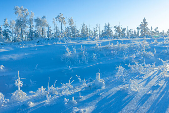 雪原林海雾凇