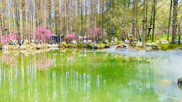 水雾樱花园