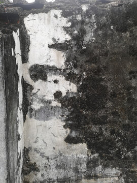 水墨壁画