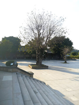 园林景观