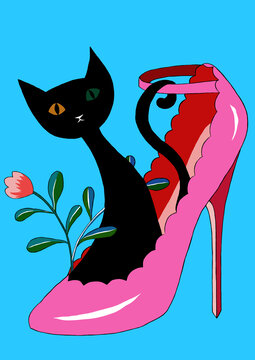 黑猫和粉红色高跟鞋