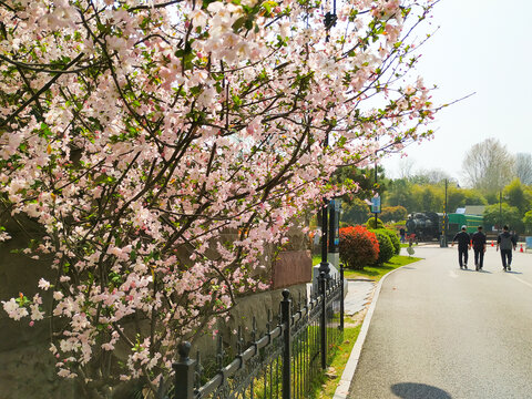 春暖花开