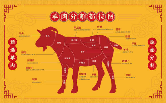 羊肉分割图