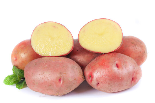 红皮土豆白底图