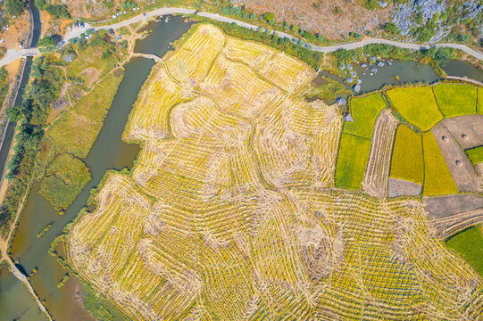 桂林山水自然风光农田麦浪