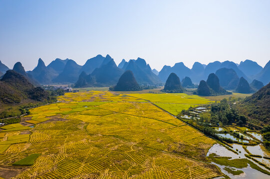 桂林山水自然风光农田麦浪