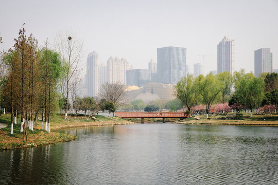 武汉沙湖公园城市一角