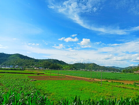 乡村风景