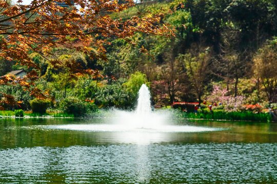 湖边喷泉