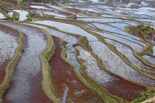 元阳哈尼梯田