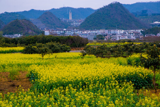 贵州乡村田园风光