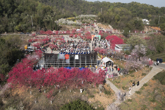 宜都市桃花节现场