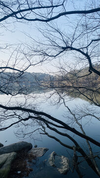 庐山芦林湖