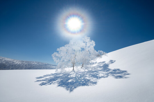 雪乡