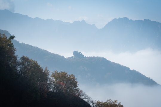 西安嘉午台