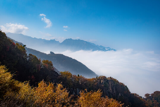 西安嘉午台秋景