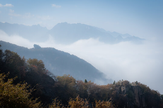 西安嘉午台