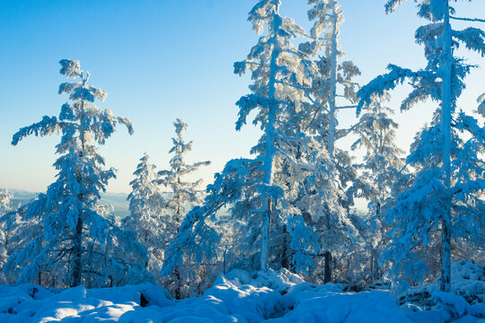 原始森林冰雪雾凇