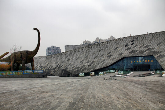 安徽省地质博物馆长颈龙